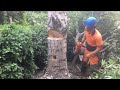 How to fall a tree/trunk and not crush everything underneath