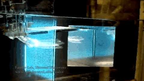 Robotic Pectoral Fin PIV (particle image velocimetry)