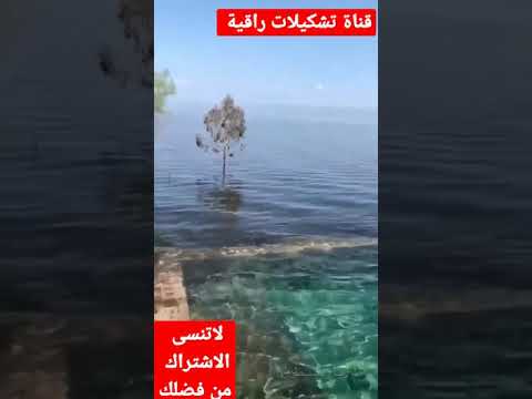 فيديو قصير جميل جدا عن مدن فلسطين طبريا يافا