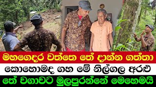 Download Lagu Home Garden Tea Project Begins 🍃 | Don’t Miss These Tips Before You Begin MP3