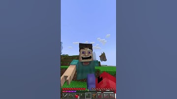 Breaking Minecraft: The Grotesque Steve Saga