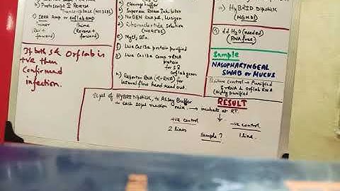 How to detect COVID-19 using CRISPR-cas13 SHERLOCK technique.