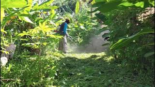 Mesin Rumput Kebun | Brush Cutter Husqvarna 541RB