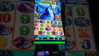 Mystic Lake Casino Timber Wolf Bonus 4 $Marlon screenshot 4