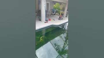 Algae Pool Part 1 🦠 Pressure Washing 🐥💦  #onlypools #entrepreneur #backyard #op #pool #algae
