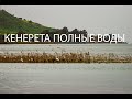 КЕНЕРЕТА ПОЛНЫЕ ВОДЫ