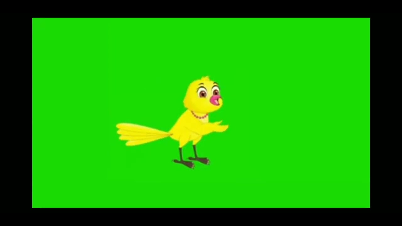 green screen bird cartoon YouTube