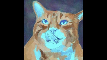 max the cat #time-lapse #procreate #shorts #shortvideo