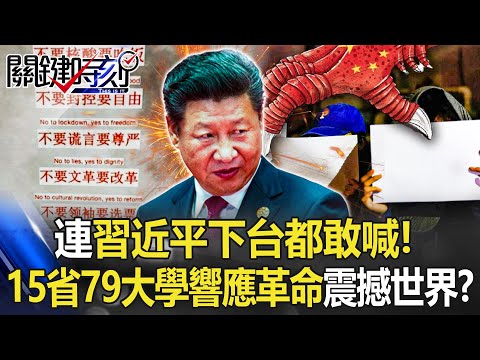 【白紙革命】連「習近平下台」都敢喊！ 中國15省79大學響應革命…成「政權破口」震撼世界？【關鍵時刻】20221128-4 劉寶傑 黃世聰 李正皓 林廷輝 吳子嘉【English subtitles】