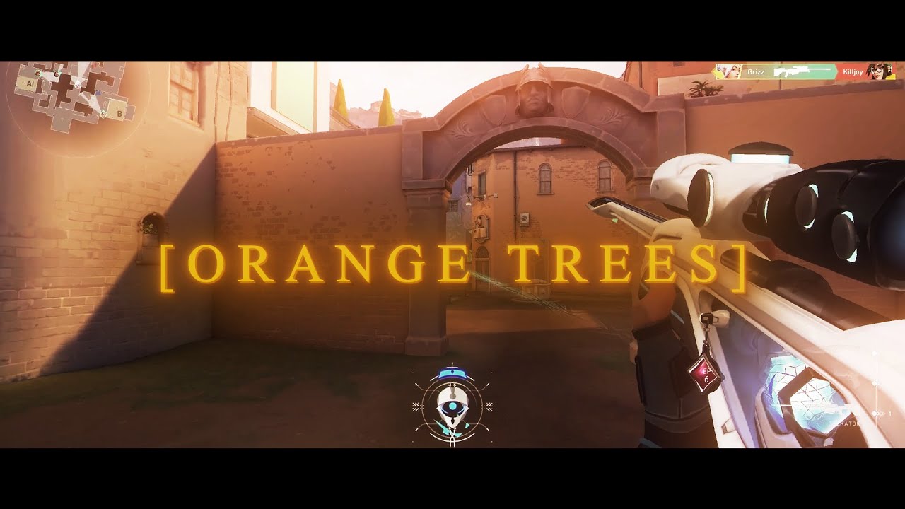 Orange Trees Jiubel YouTube