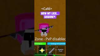Spinning At Gacha For A Good Fruit (I got shadow ? roblox bloxfruits )