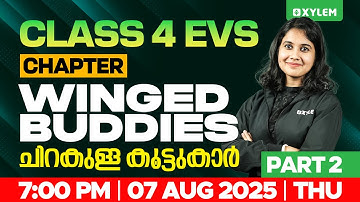 Class 4 EVS | Chapter: Winged Buddies - ചിറകുള്ള കൂട്ടുകാർ - Part 2 | Xylem Class 4