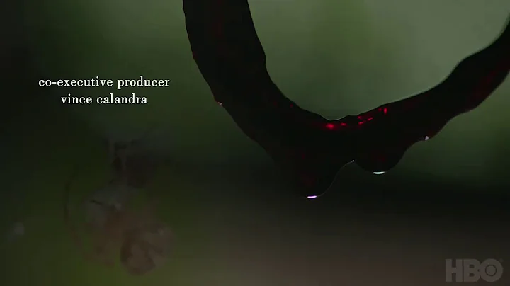 Sharp Objects - all opening credits