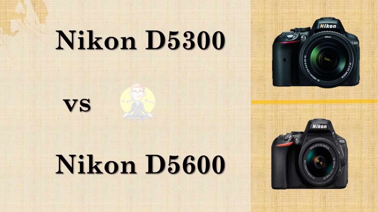 Nikon D5300 VS Nikon D5600 YouTube