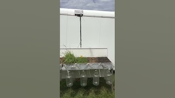 Rainfall Simulator Demonstration
