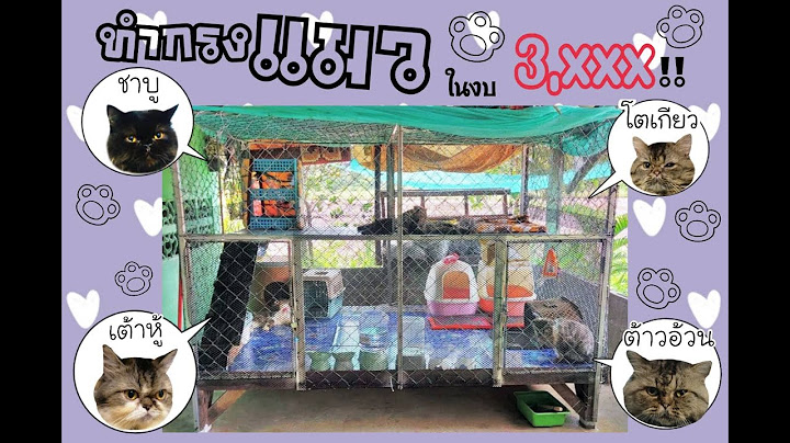 ทำกรงแมวขนาดใหญ่ ด้วยงบ3000กว่า