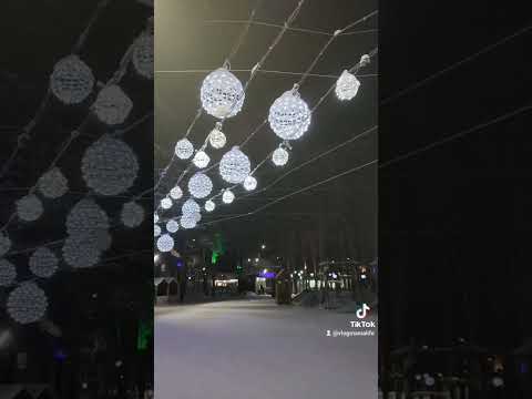 Метель❄️#зимнийлес#дедмороз#влогмамалайф#какживутдругие #домашнийвлог #гуляемвместе #рецепты #уборка