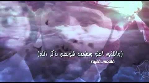 تلاوه بصوت معاذ الجماز😴💭