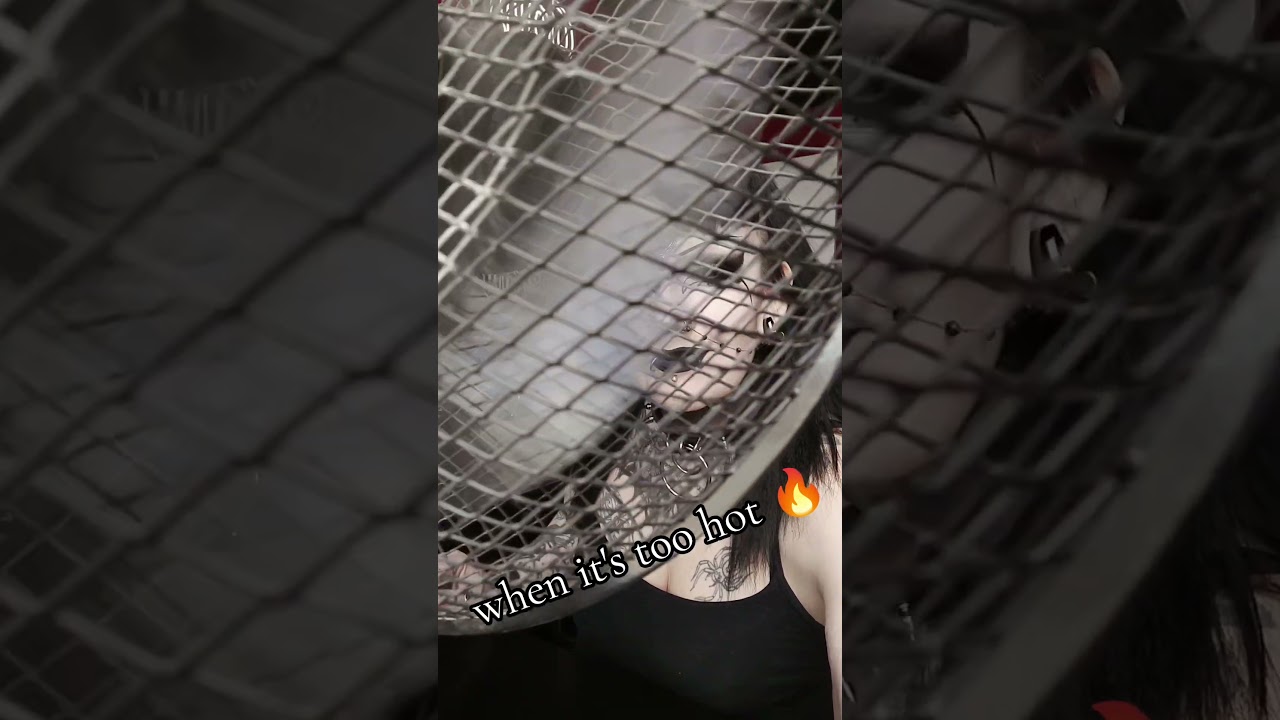 I needed the fan 😄 #gothiceternity #goth #gothgirl #subcribe #gothic #subcribe