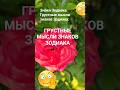 Мне правда не всё равно  / Грустные мысли знаков Зодиака/ Эзотерика Гороскоп Астрология