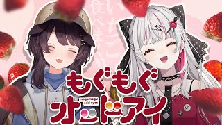 戌亥とこ(いぬいとこ)の配信のサムネイル画像