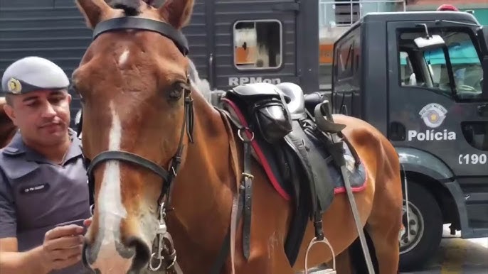 Cavalaria da PM inaugura pista Centauro de Maneabilidade a Cavalo - SSP