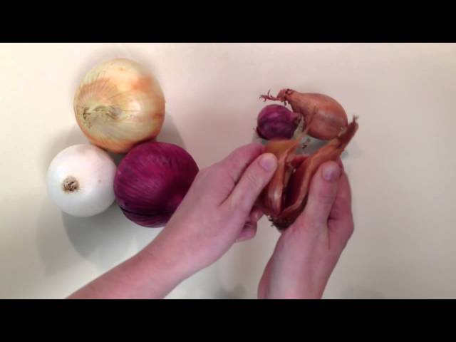 What Are Shallots? (+ How They Differ From Onions) - Insanely Good