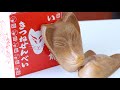 20 Japanese Sweet and Snack Souvenirs ASMR Wagashi Candy