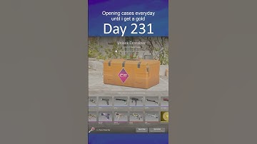 Opening Cases everyday until I unbox a gold | Day 231 #cs2 #caseopening