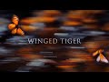 Winged tiger