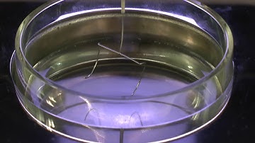 Density Measurement with Tensiometer - Video in German