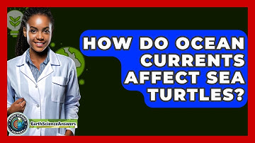 How Do Ocean Currents Affect Sea Turtles? - Earth Science Answers