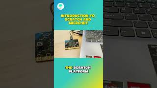 From Screen to Reality with Empire AI Coding Classes!