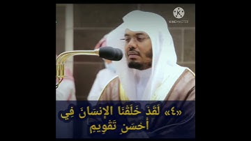 سورة التين😓|ياسر الدوسري بالأداء الرائع