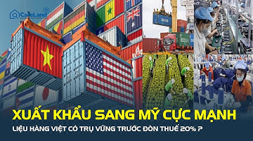 Xuất khẩu sang Mỹ CỰC MẠNH – Liệu hàng Việt có trụ vững trước ĐÒN THUẾ 20%? | CafeLand