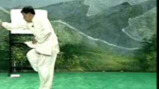 BajiQuan LaoJia (old Form Of XiaoJia) By Wu LianZhi BajiQuan LaoJia (old Form Of XiaoJia) By Wu LianZhi