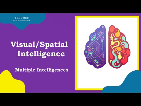 5    الذكاء الفراغي او البصري