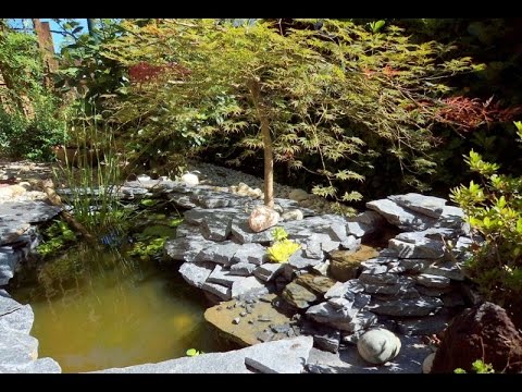 Laghetto da giardino con pesci, piante acquatiche e una piccola ... Giardino con laghetto
