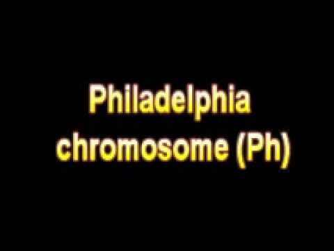 What Is The Definition Of Philadelphia chromosome Ph Medical School Terminology Dictionary - YouTube