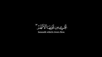 كرومة شاشة سوداء بصوت الشيخ#هيثم_الدخين      #سورة_النحل