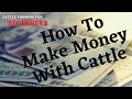 HOW TO MAKE MONEY WITH CATTLE: Cattle Farming For Beginners