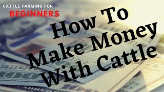 HOW TO MAKE MONEY WITH CATTLE: Cattle Farming For Beginners