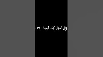 سورة الغاشية الاية 17-20 | ياسر الدوسري