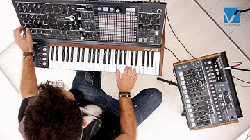 Arturia MatrixBrute Analog Synthesizer Video Test
