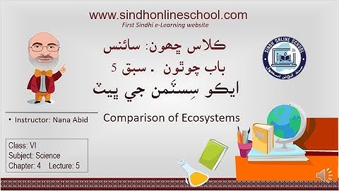 Comparison of Ecosystems| Science Class 6| Chapter 4| Lecture 5| by Nana Abid| Sindh Online School