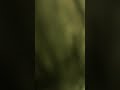 女子のおなら3 女子のおなら3