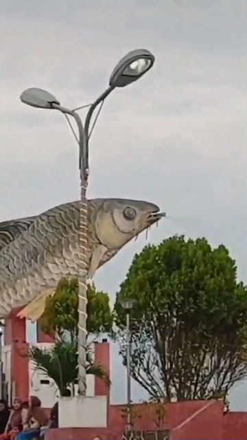 patung ikan jelawat icon kota Sampit Kalimantan tengah