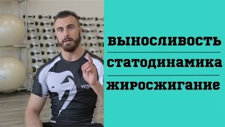 Выносливость. Жиросжигание. Статодинамика Выносливость. Жиросжигание. Статодинамика