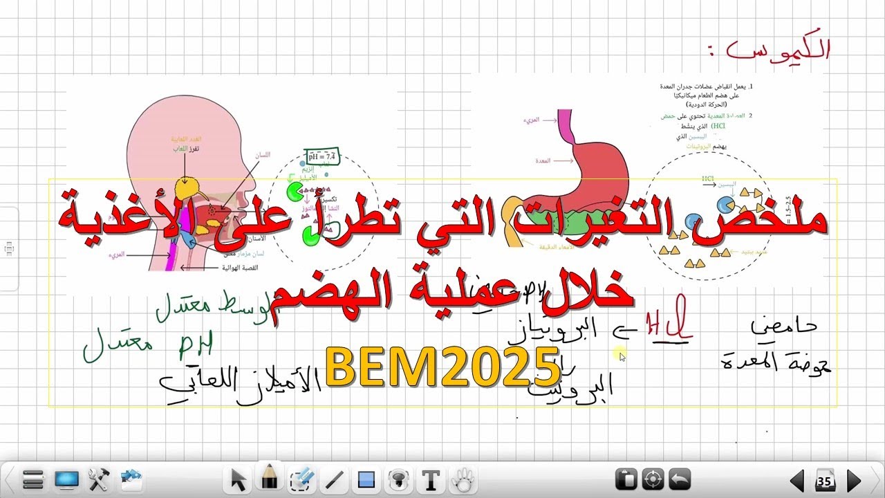 ملخص  التحولات التي تطرا على الأغذية خلال الهضم علوم طبيعية السنة الرابعة متوسط