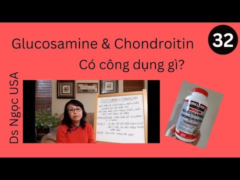 Video: Chó có thể ăn rong biển không?